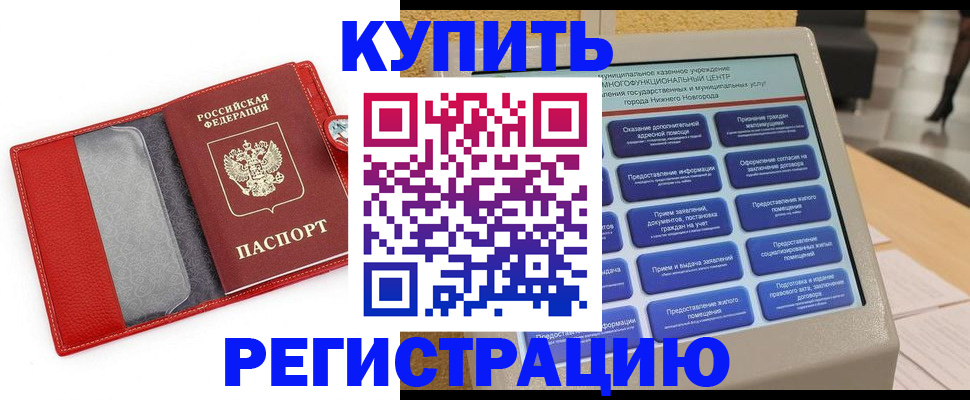 прописка для школы в Мончегорске